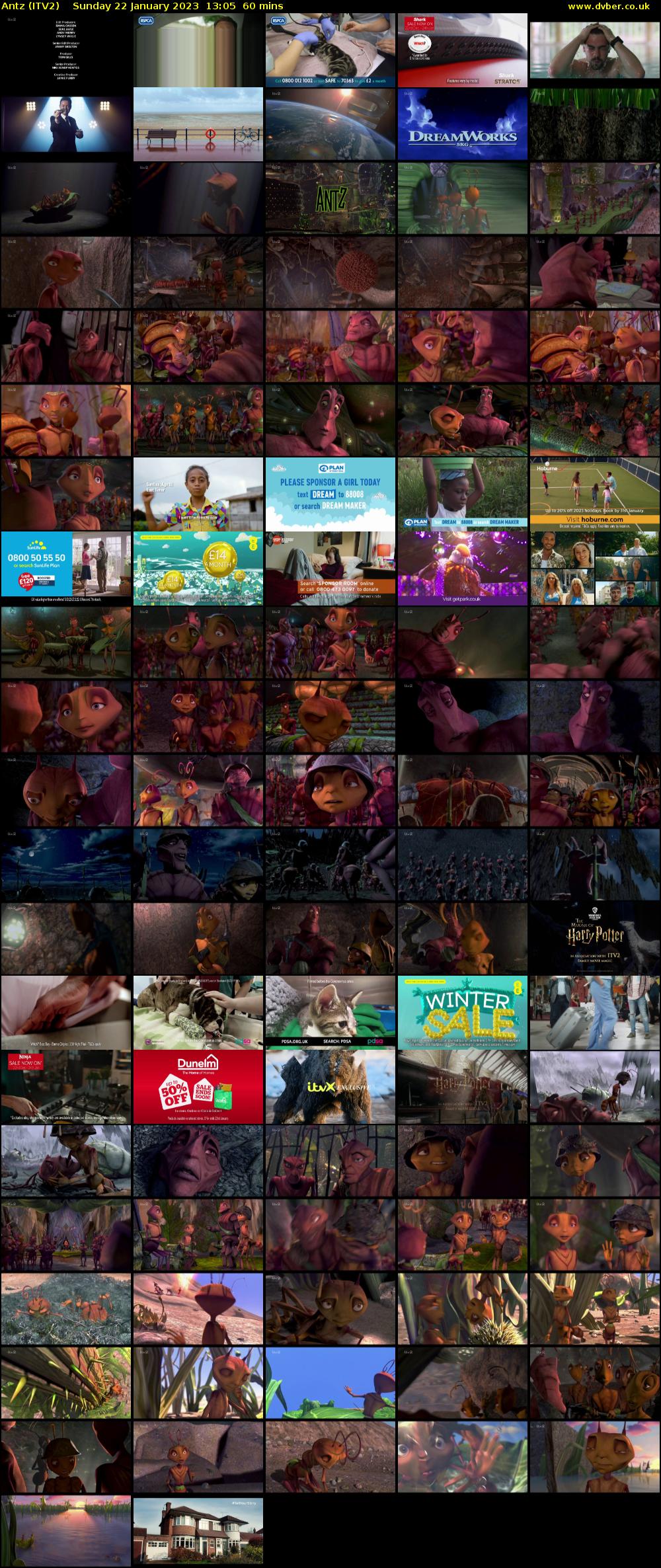 Antz (ITV2) Sunday 22 January 2023 13:05 - 14:05