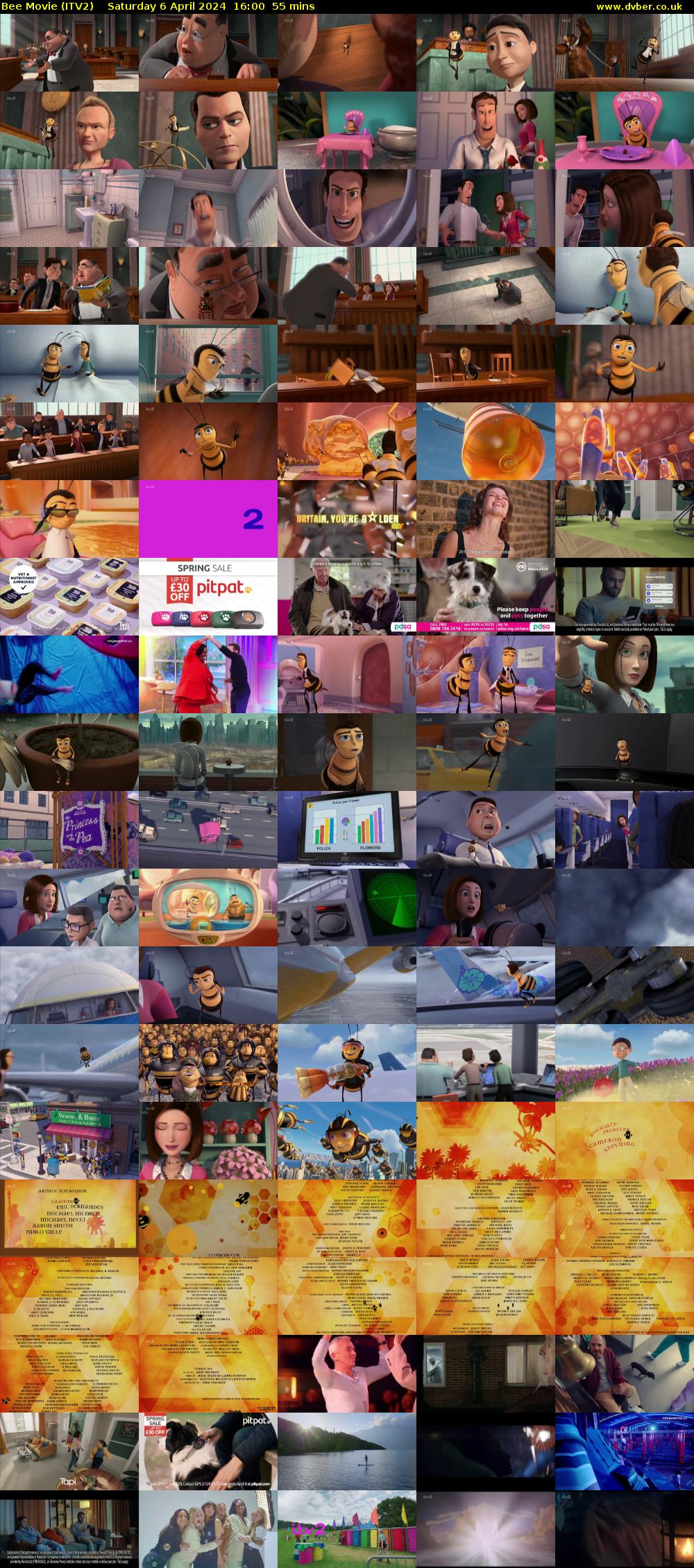 Bee Movie (ITV2) Saturday 6 April 2024 16:00 - 16:55