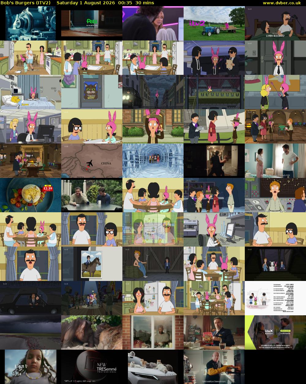 Bob's Burgers (ITV2) Saturday 1 August 2026 00:35 - 01:05