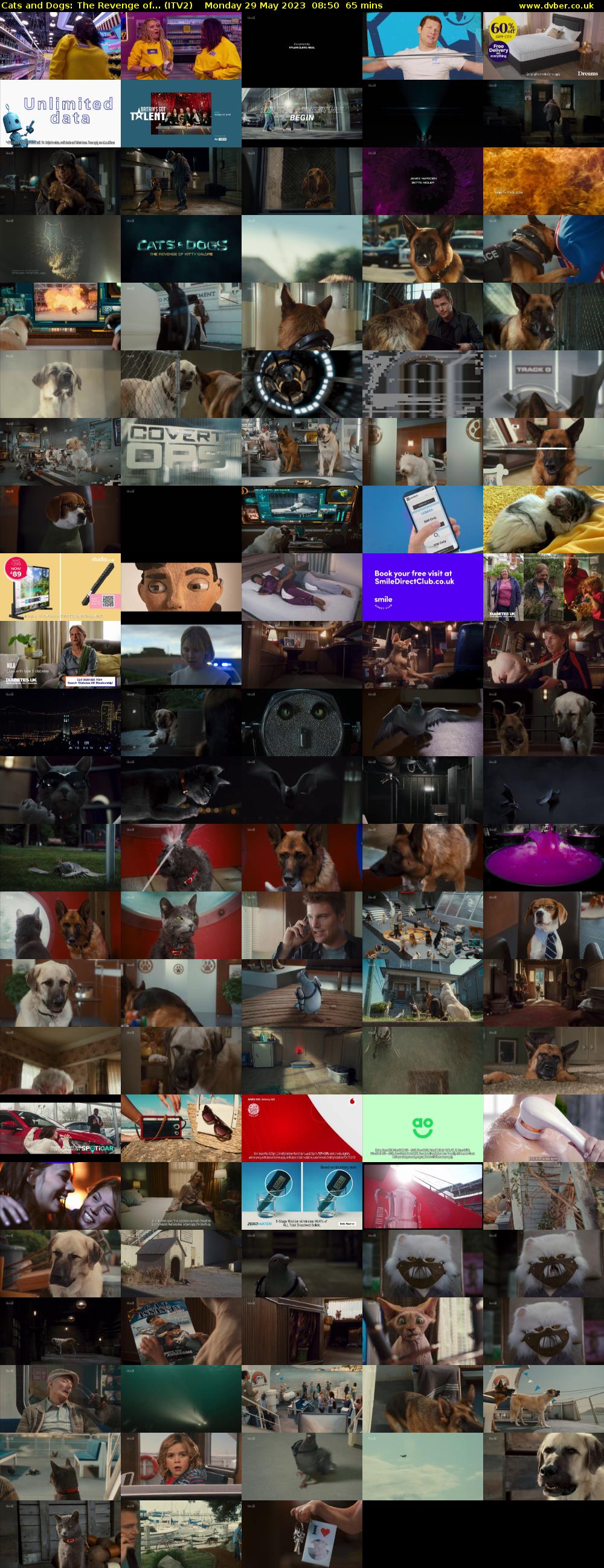 Cats and Dogs: The Revenge of... (ITV2) Monday 29 May 2023 08:50 - 09:55