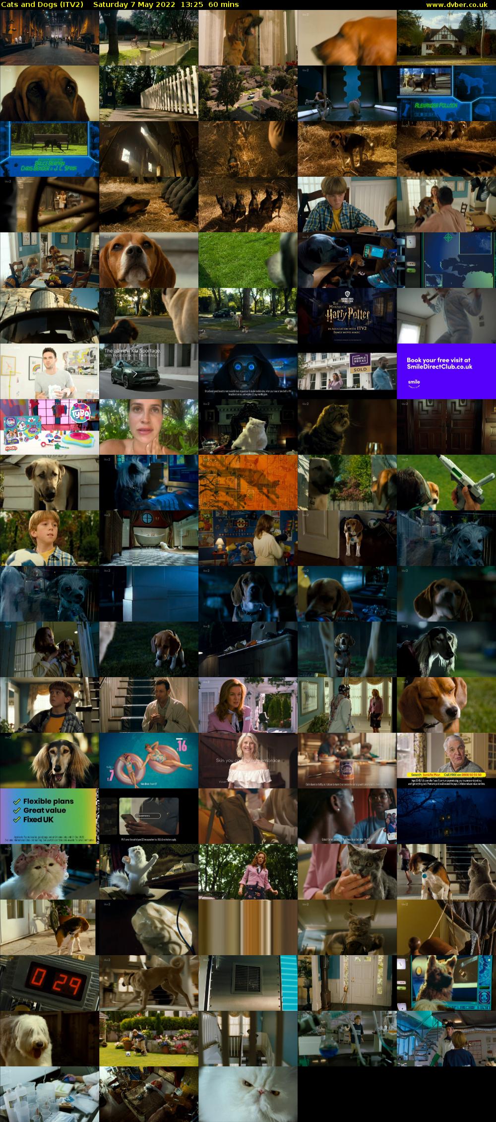 Cats and Dogs (ITV2) Saturday 7 May 2022 13:25 - 14:25
