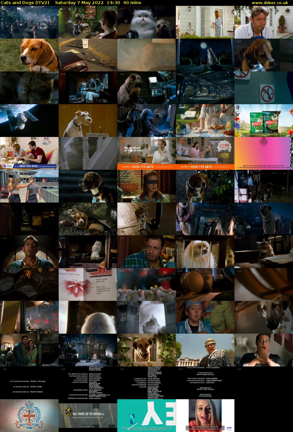 Cats and Dogs (ITV2) Saturday 7 May 2022 14:30 - 15:10
