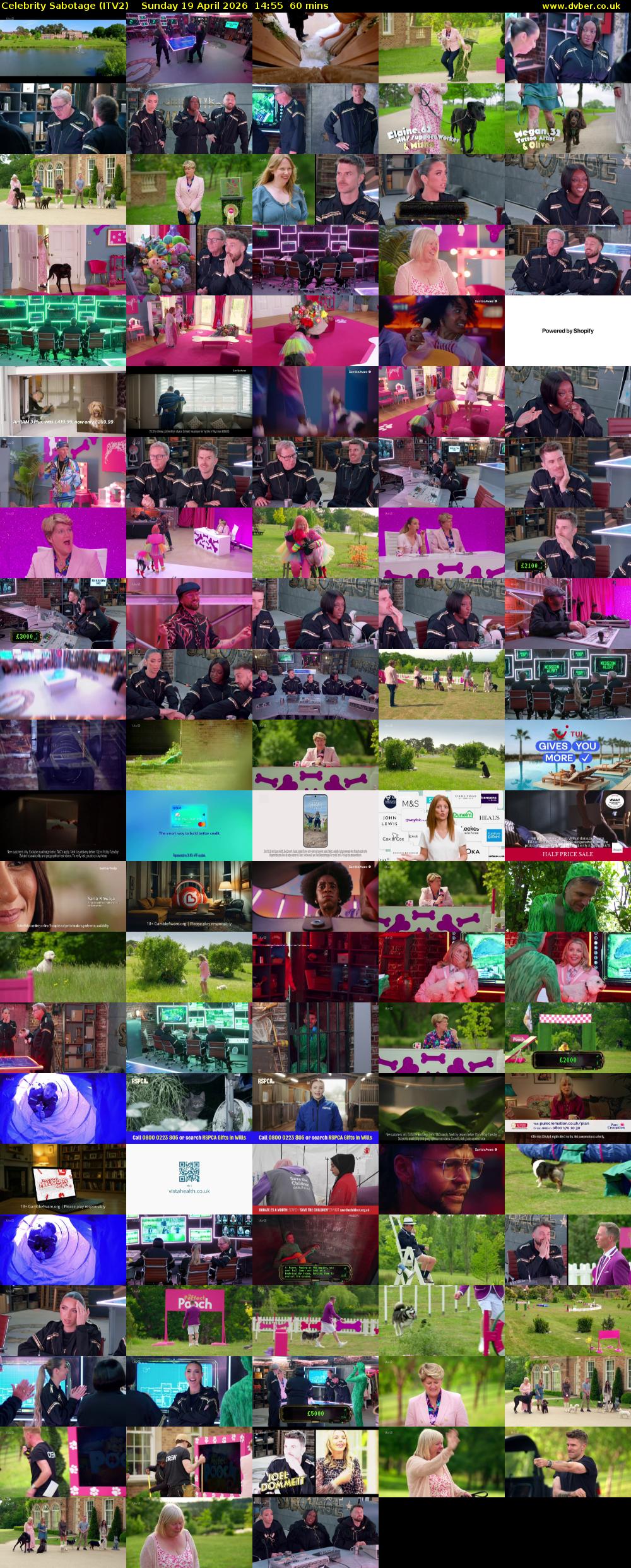 Celebrity Sabotage (ITV2) Sunday 19 April 2026 14:55 - 15:55