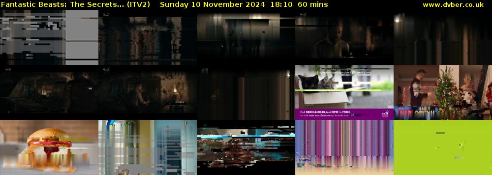 Fantastic Beasts: The Secrets... (ITV2) Sunday 10 November 2024 18:10 - 19:10