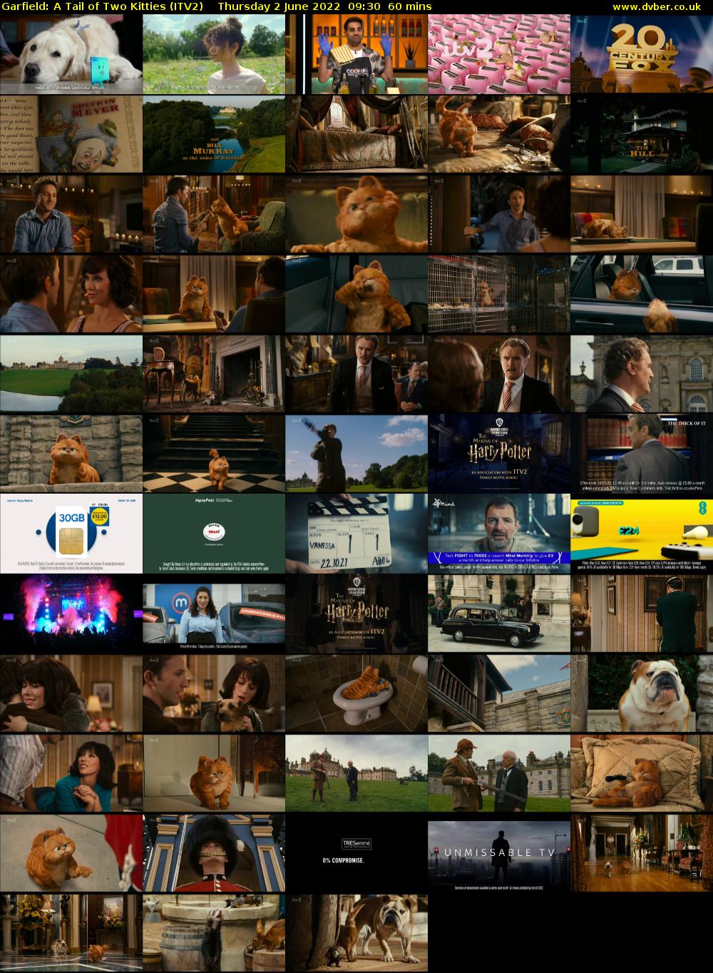 Garfield: A Tail of Two Kitties (ITV2) Thursday 2 June 2022 09:30 - 10:30
