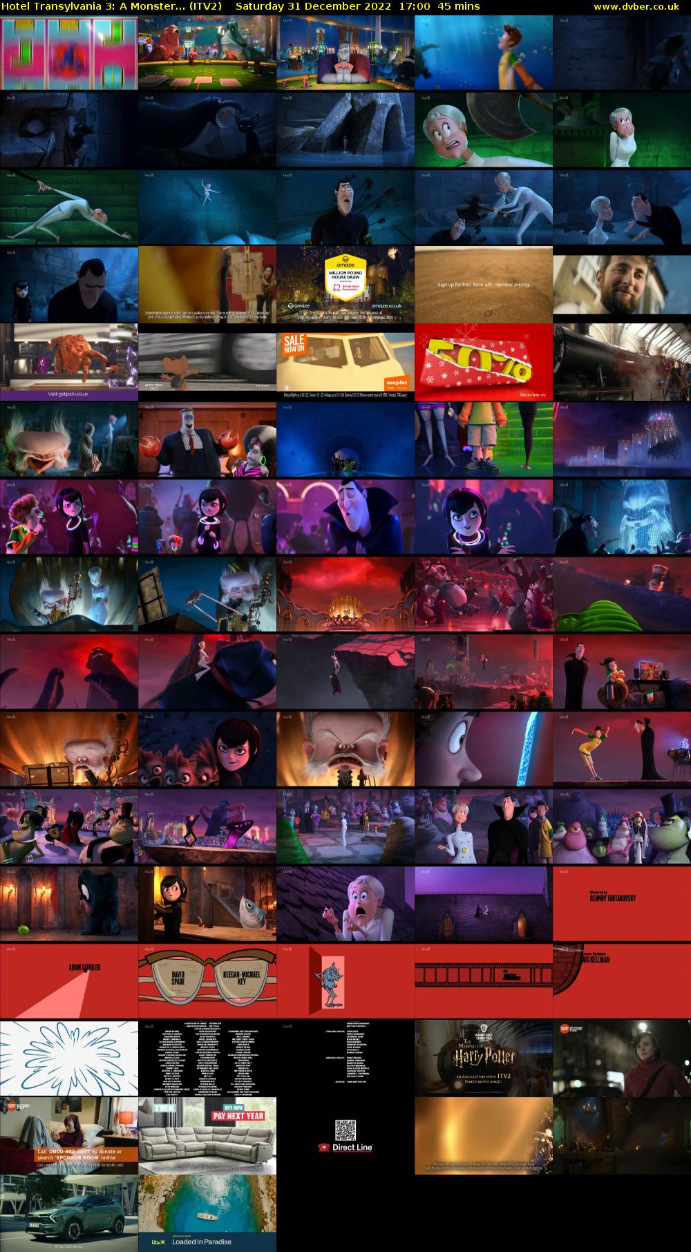 Hotel Transylvania 3: A Monster... (ITV2) Saturday 31 December 2022 17:00 - 17:45