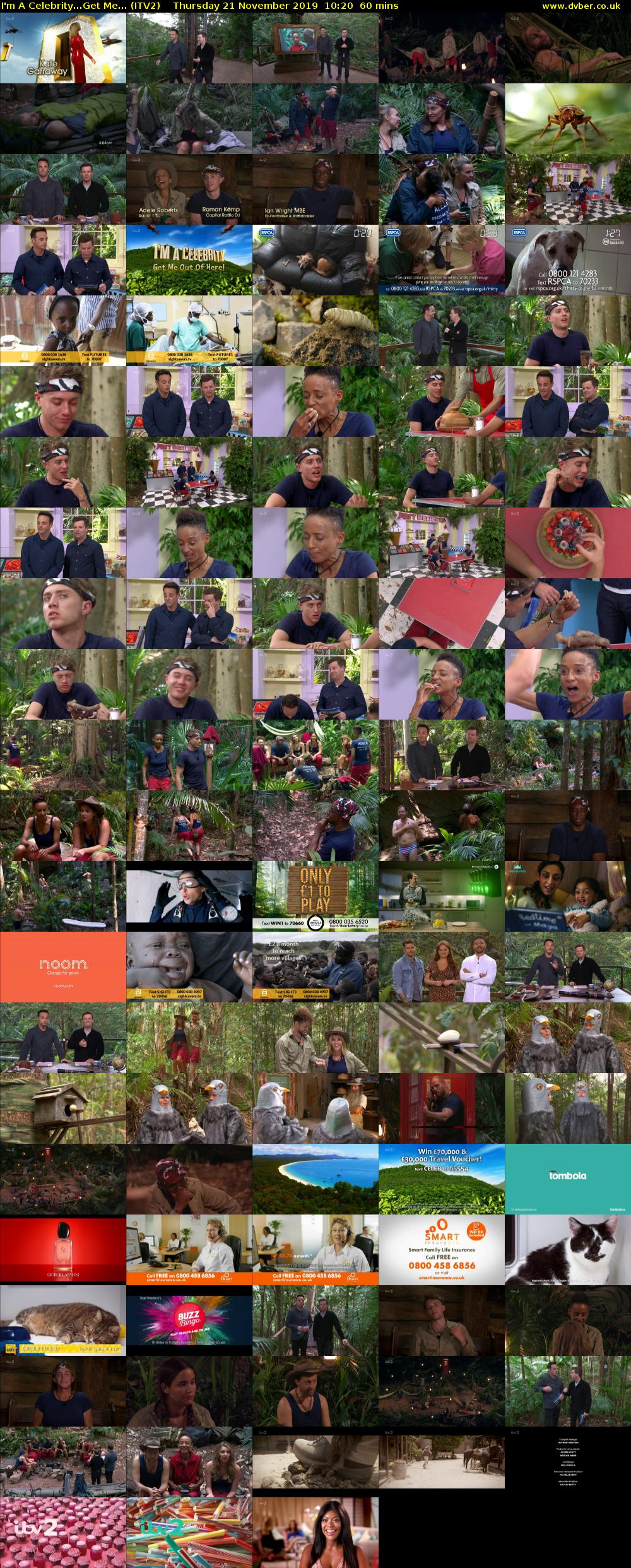 I'm A Celebrity...Get Me... (ITV2) Thursday 21 November 2019 10:20 - 11:20