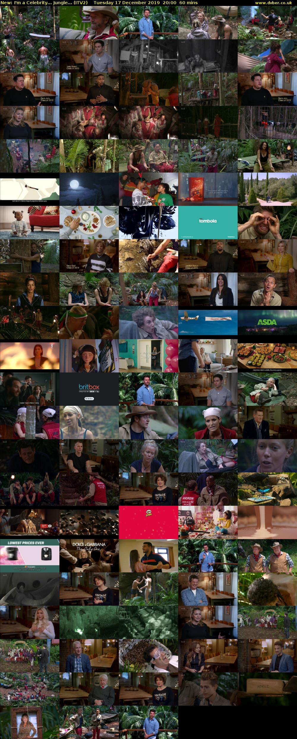 I'm a Celebrity... Jungle... (ITV2) Tuesday 17 December 2019 20:00 - 21:00