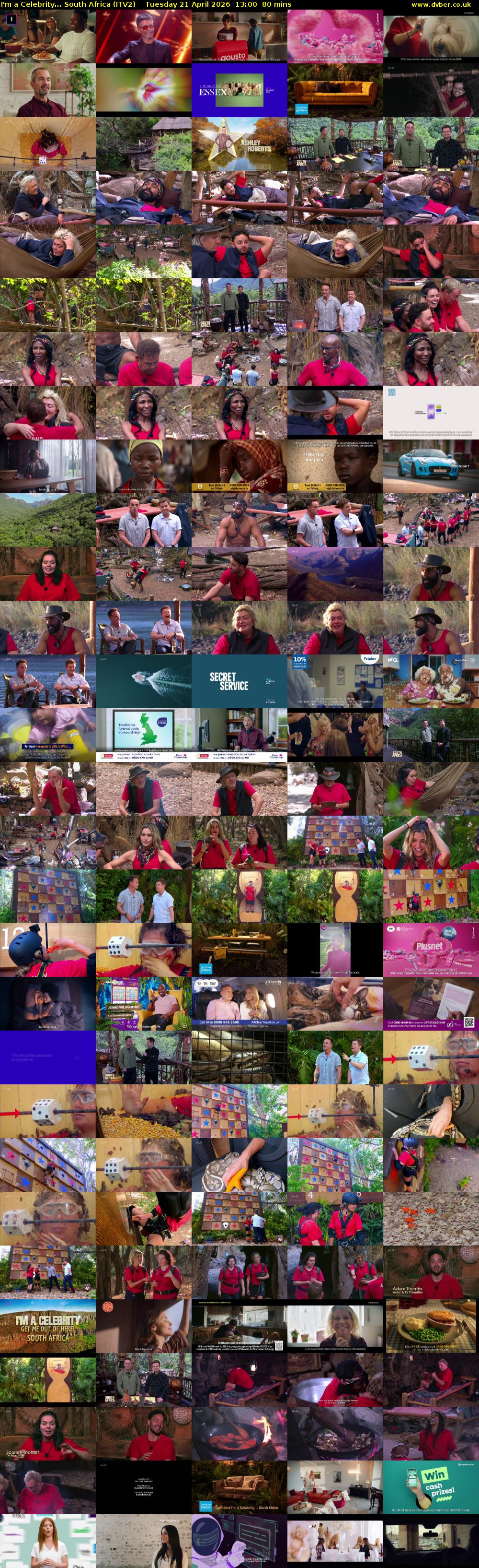 I'm a Celebrity... South Africa (ITV2) Tuesday 21 April 2026 13:00 - 14:20