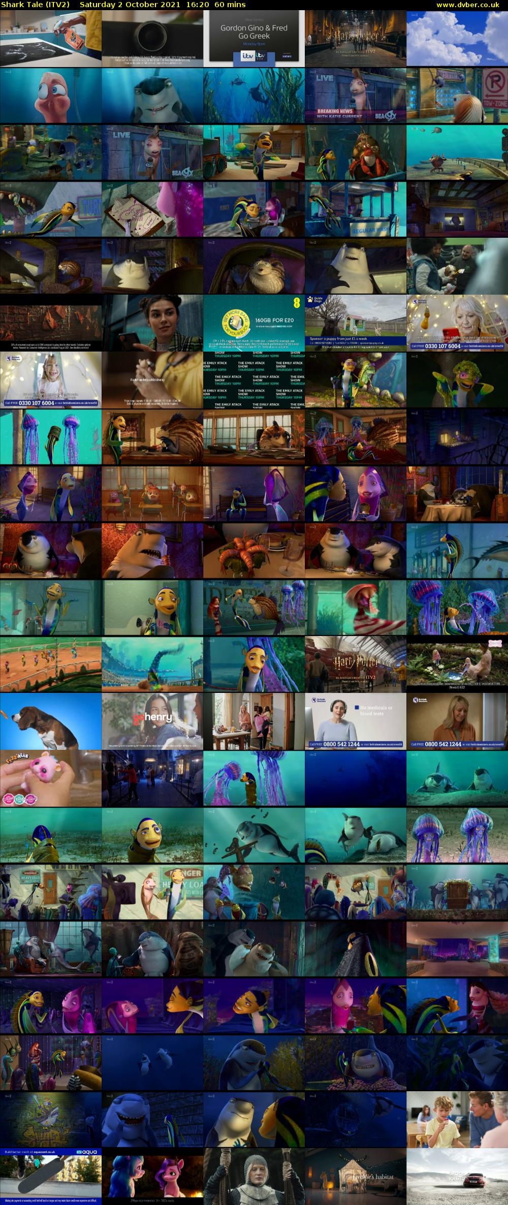 Shark Tale (ITV2) Saturday 2 October 2021 16:20 - 17:20