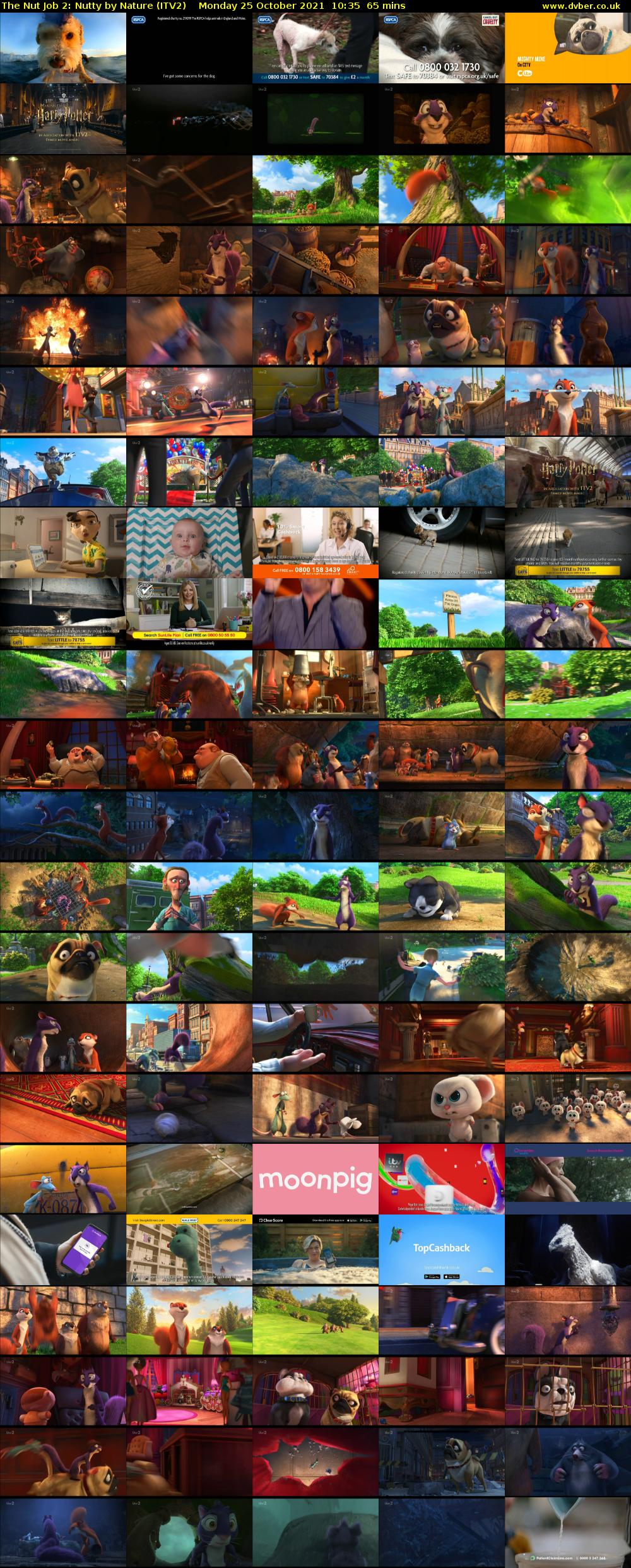 The Nut Job 2: Nutty by Nature (ITV2) Monday 25 October 2021 10:35 - 11:40