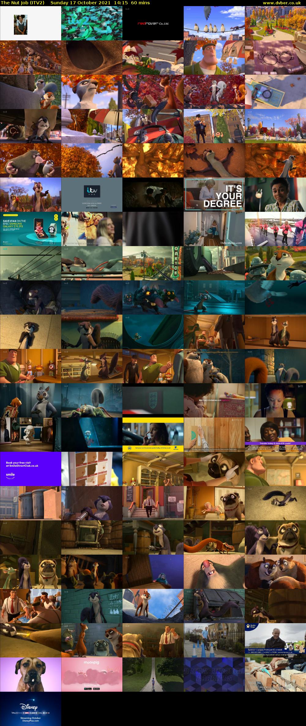 The Nut Job (ITV2) Sunday 17 October 2021 14:15 - 15:15