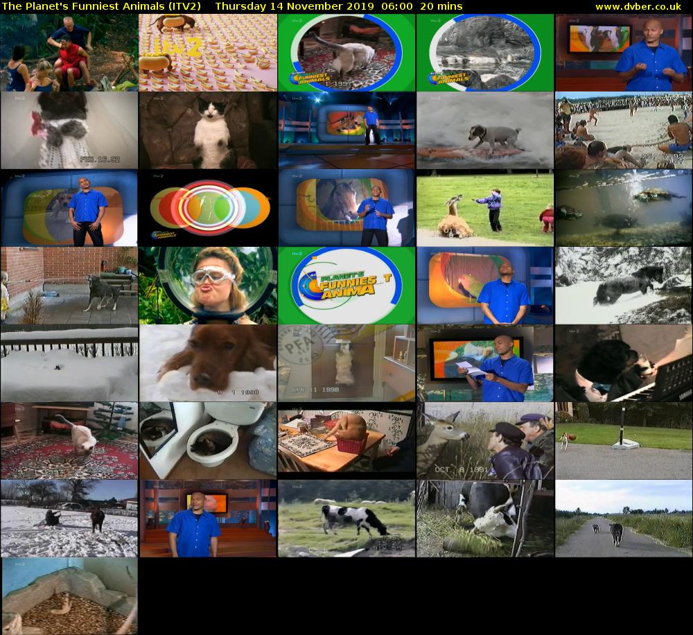 The Planet's Funniest Animals (ITV2) Thursday 14 November 2019 06:00 - 06:20