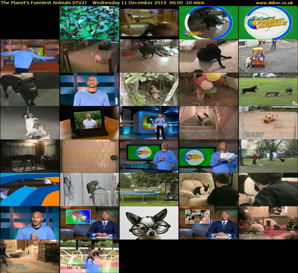 The Planet's Funniest Animals (ITV2) Wednesday 11 December 2019 06:00 - 06:20