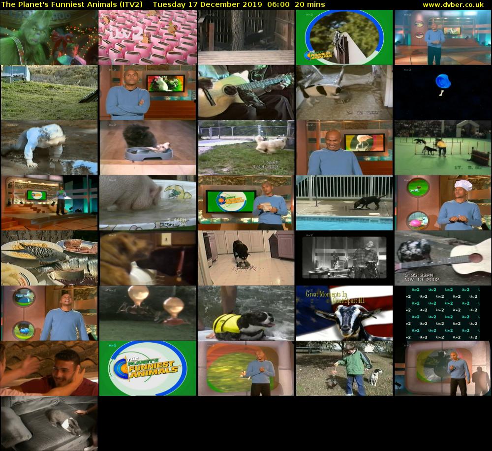 The Planet's Funniest Animals (ITV2) Tuesday 17 December 2019 06:00 - 06:20