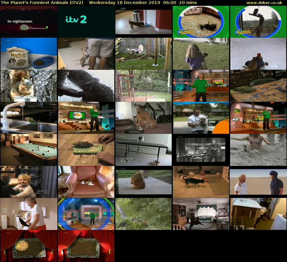 The Planet's Funniest Animals (ITV2) Wednesday 18 December 2019 06:00 - 06:20