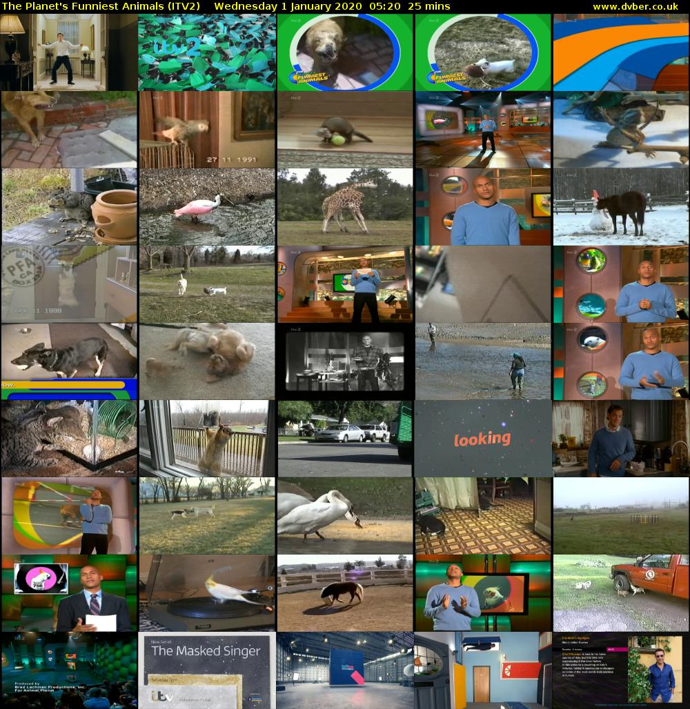 The Planet's Funniest Animals (ITV2) Wednesday 1 January 2020 05:20 - 05:45