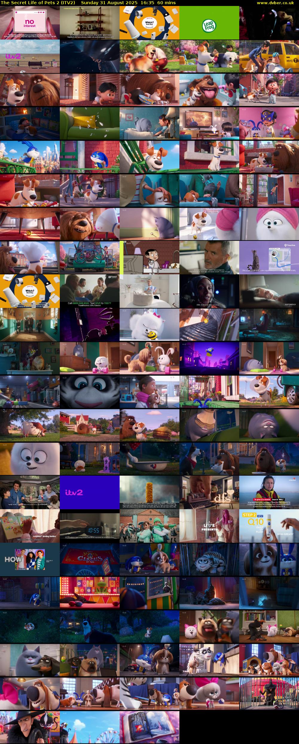 The Secret Life of Pets 2 (ITV2) Sunday 31 August 2025 16:35 - 17:35