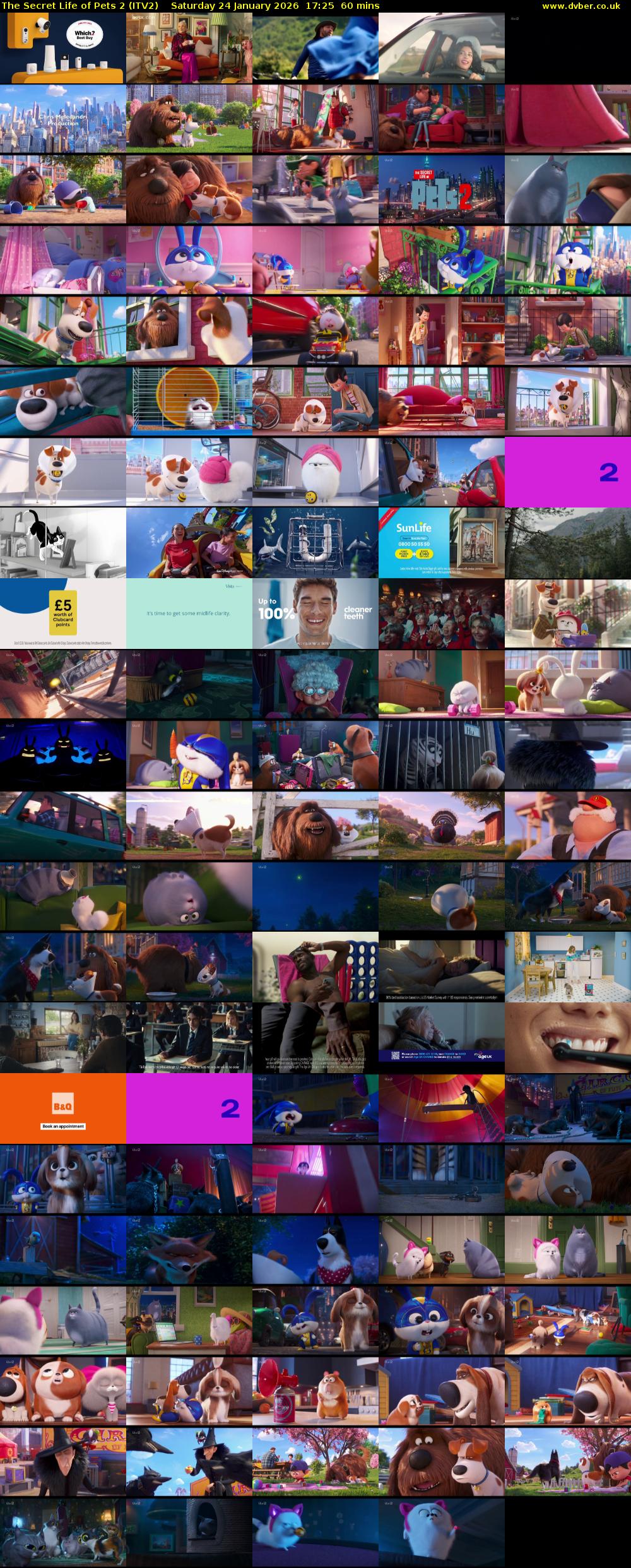 The Secret Life of Pets 2 (ITV2) Saturday 24 January 2026 17:25 - 18:25