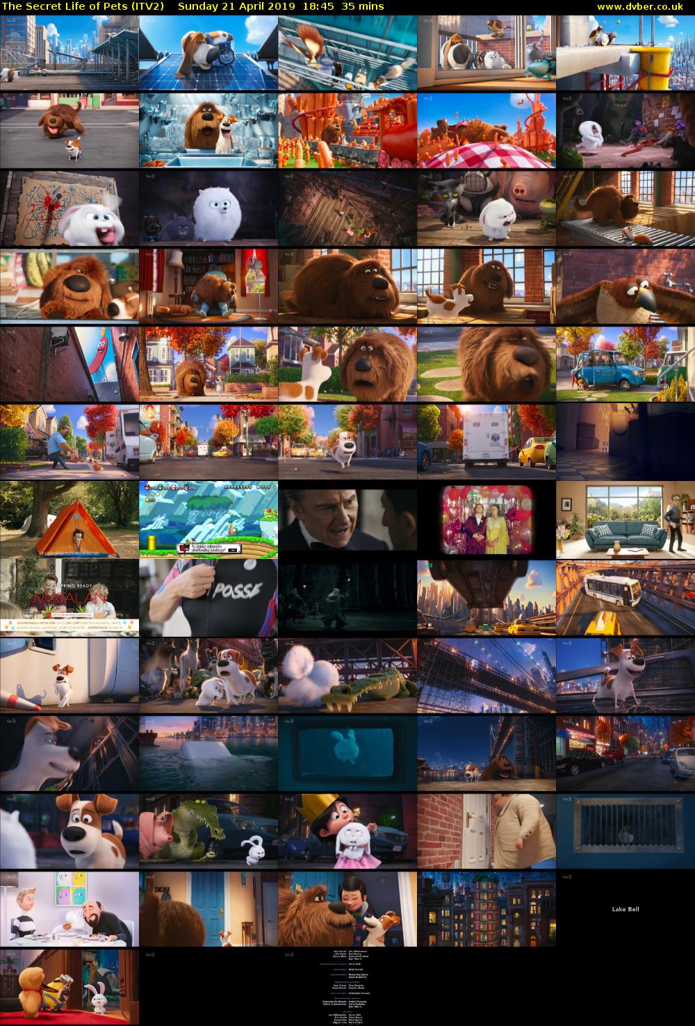 The Secret Life of Pets (ITV2) Sunday 21 April 2019 18:45 - 19:20