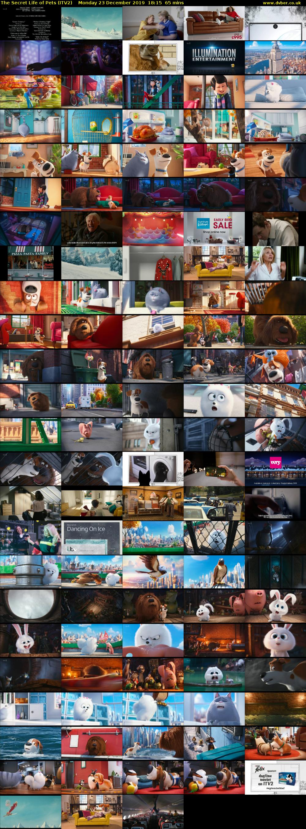 The Secret Life of Pets (ITV2) Monday 23 December 2019 18:15 - 19:20
