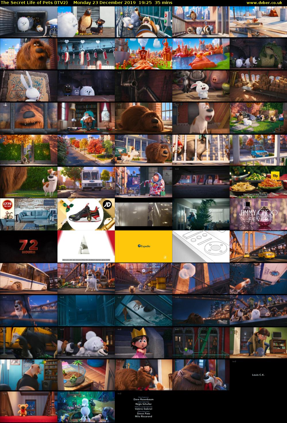 The Secret Life of Pets (ITV2) Monday 23 December 2019 19:25 - 20:00