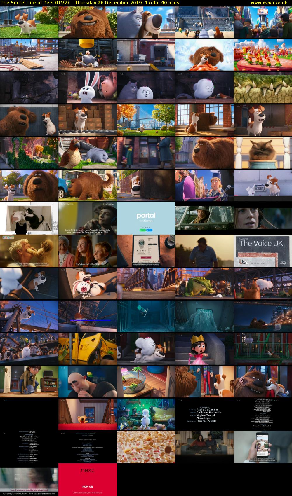 The Secret Life of Pets (ITV2) Thursday 26 December 2019 17:45 - 18:25