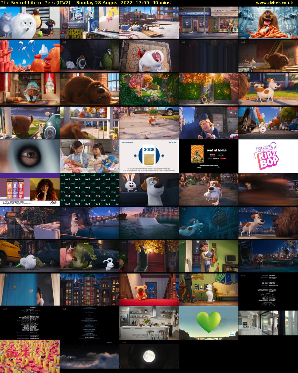 The Secret Life of Pets (ITV2) Sunday 28 August 2022 17:55 - 18:35