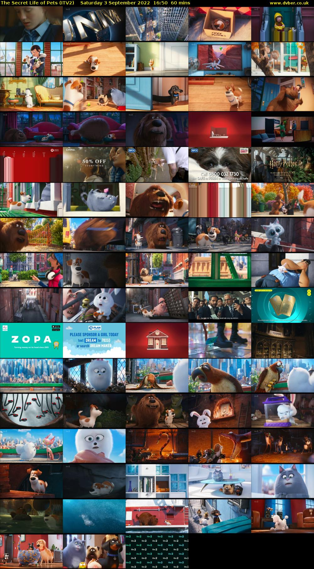 The Secret Life of Pets (ITV2) Saturday 3 September 2022 16:50 - 17:50