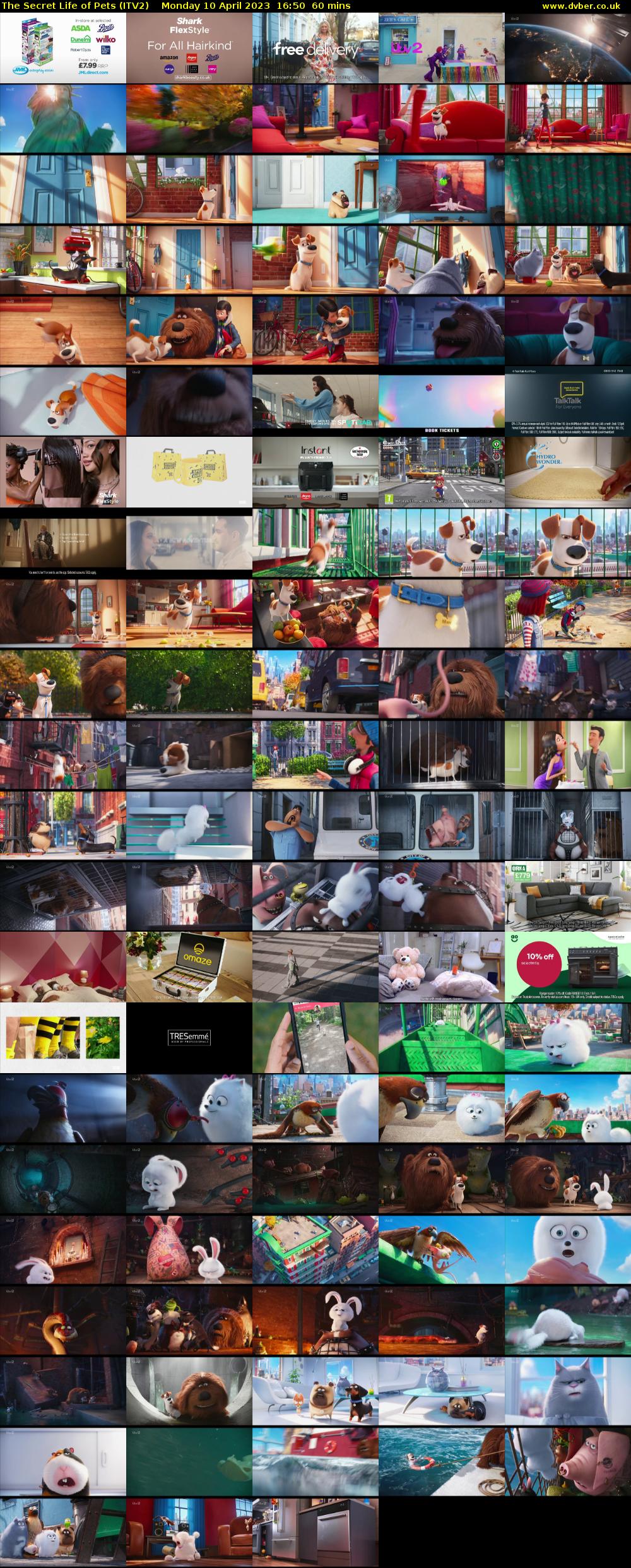 The Secret Life of Pets (ITV2) Monday 10 April 2023 16:50 - 17:50