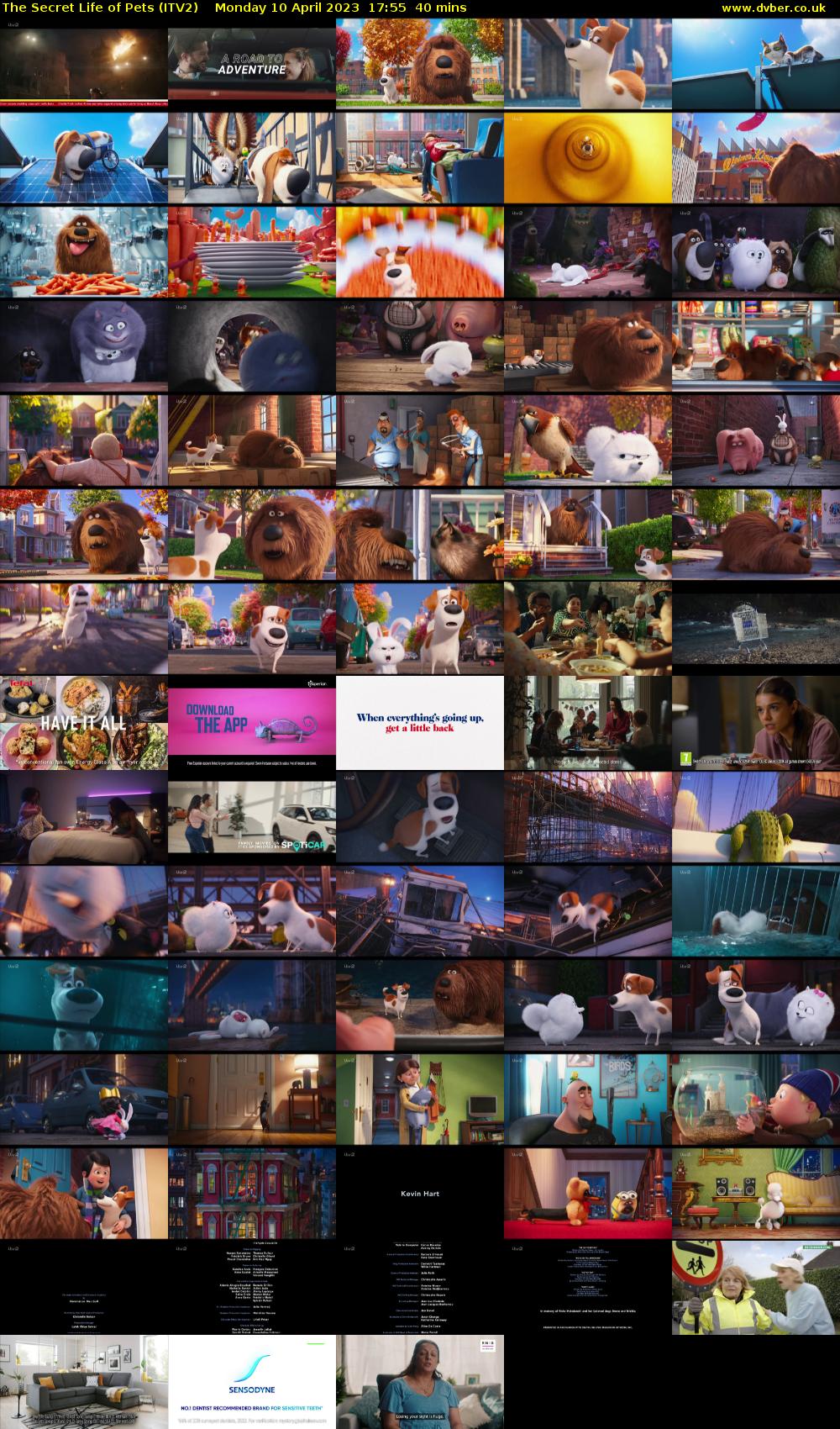 The Secret Life of Pets (ITV2) Monday 10 April 2023 17:55 - 18:35
