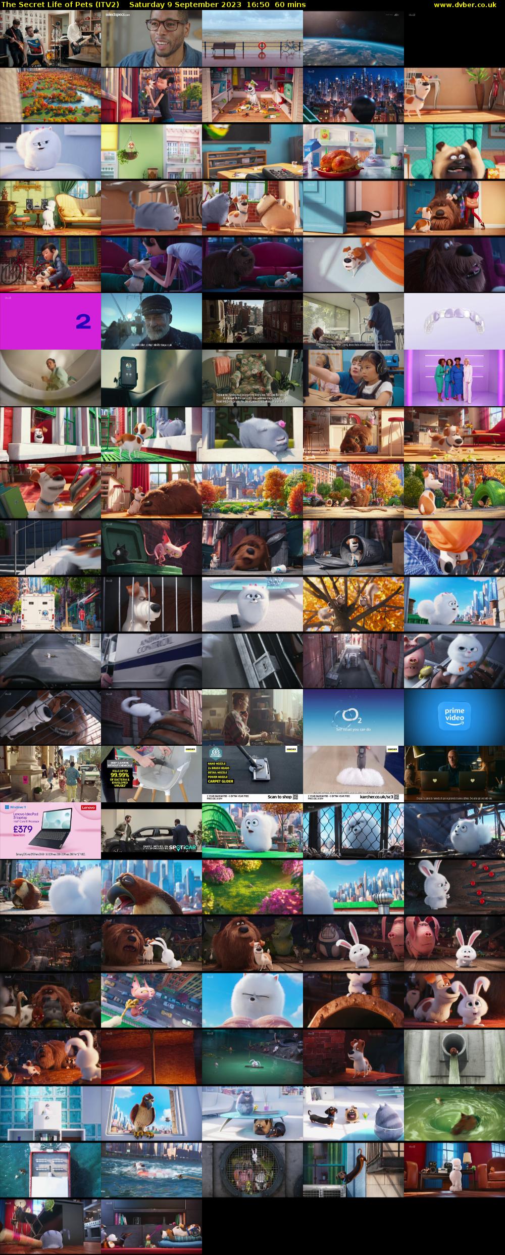 The Secret Life of Pets (ITV2) Saturday 9 September 2023 16:50 - 17:50