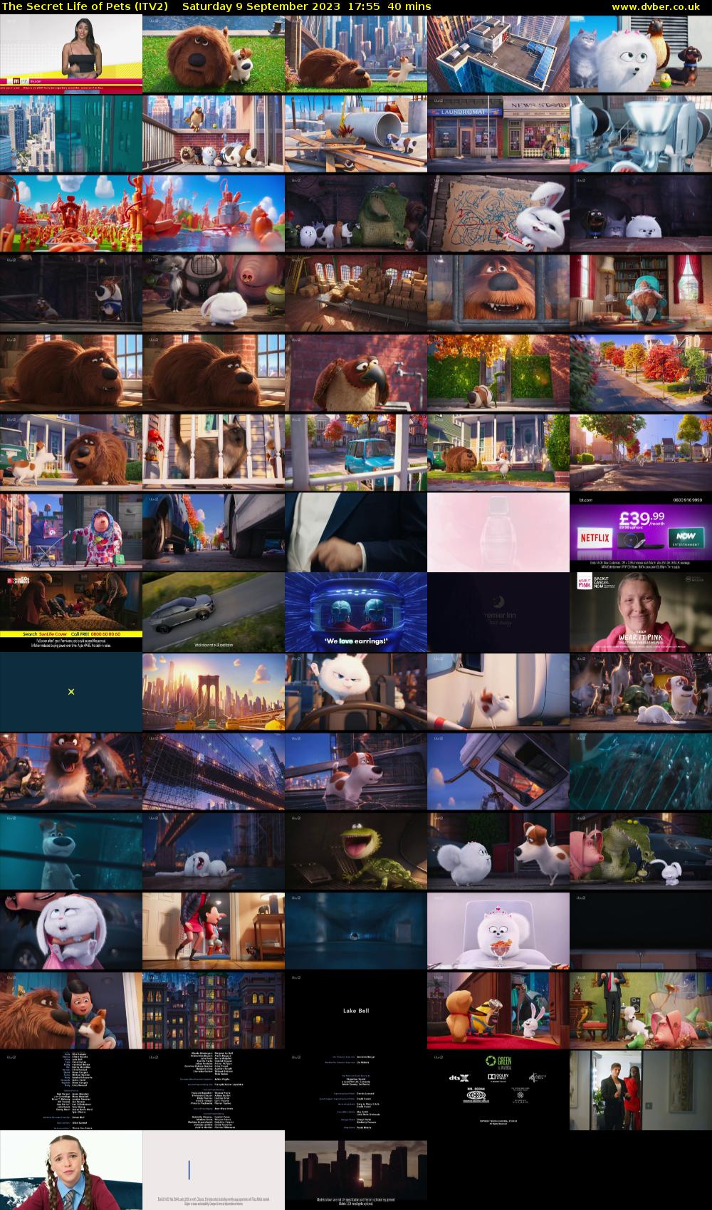 The Secret Life of Pets (ITV2) Saturday 9 September 2023 17:55 - 18:35