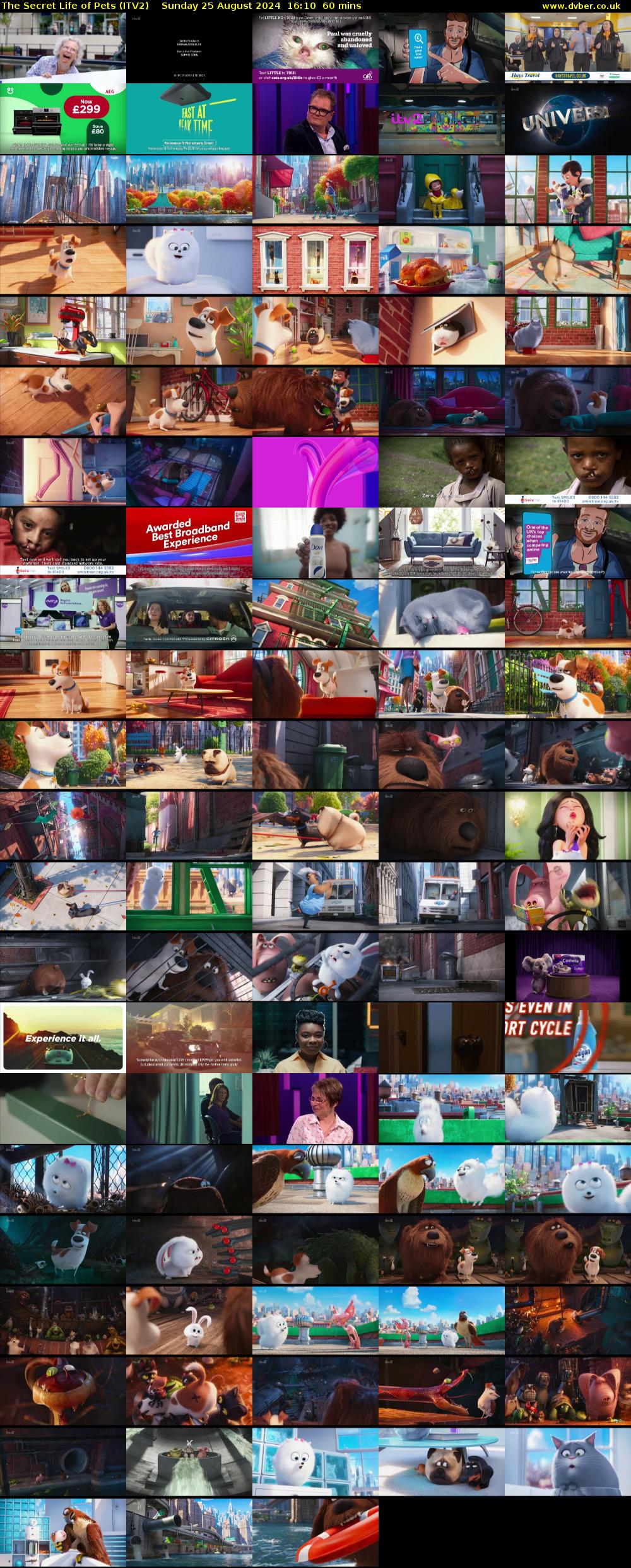 The Secret Life of Pets (ITV2) Sunday 25 August 2024 16:10 - 17:10