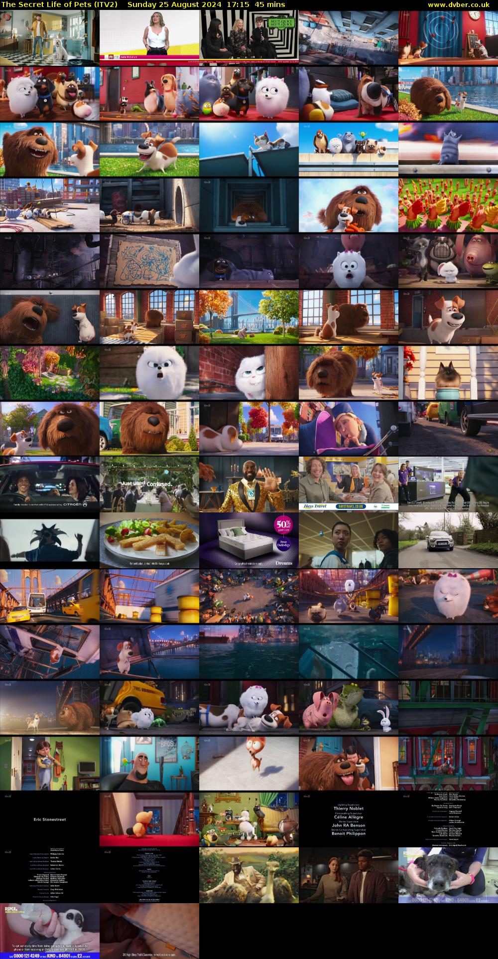 The Secret Life of Pets (ITV2) Sunday 25 August 2024 17:15 - 18:00
