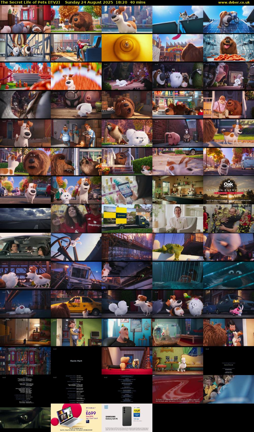 The Secret Life of Pets (ITV2) Sunday 24 August 2025 18:20 - 19:00