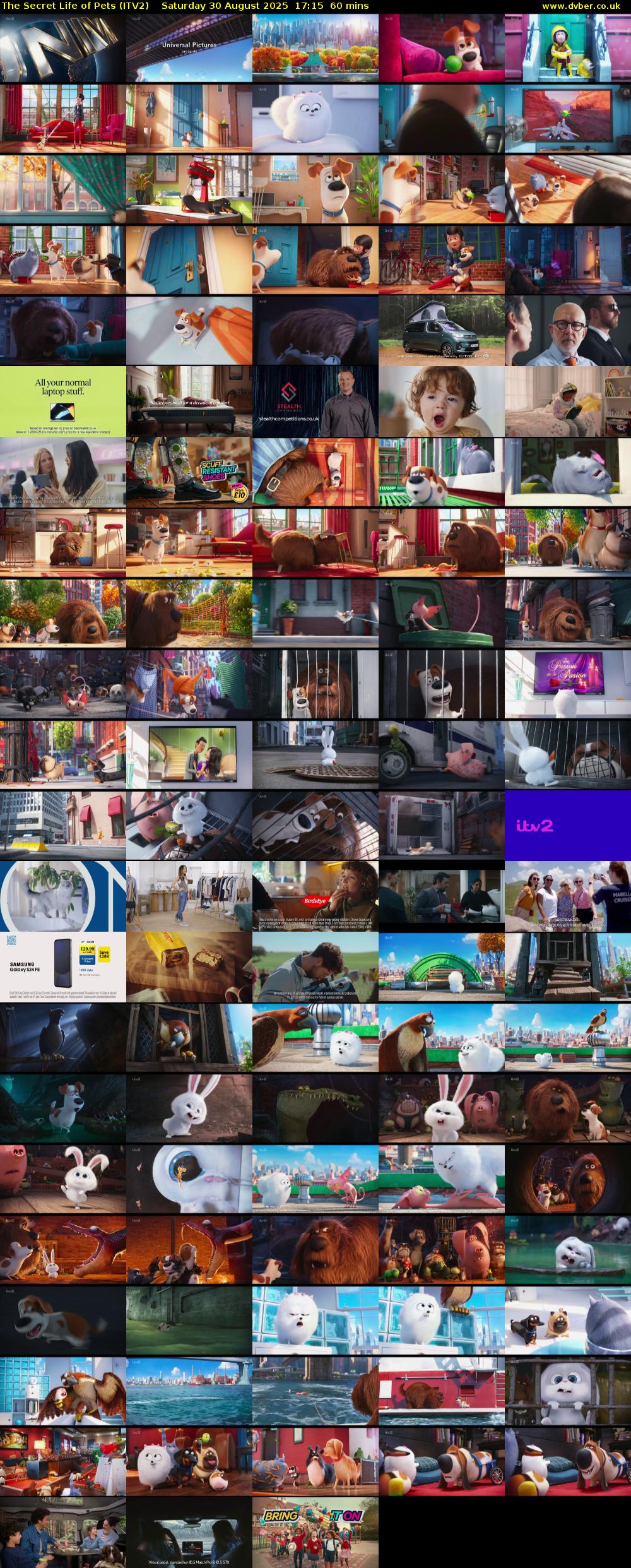 The Secret Life of Pets (ITV2) Saturday 30 August 2025 17:15 - 18:15