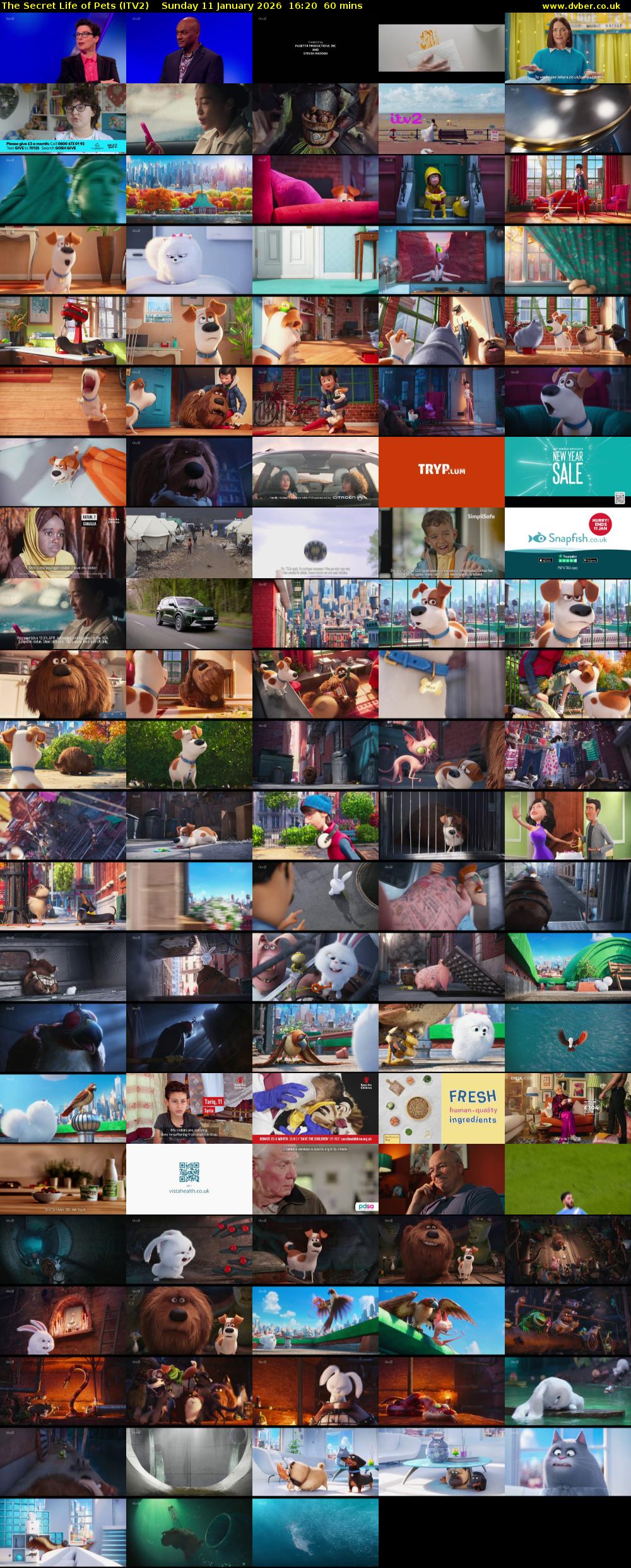 The Secret Life of Pets (ITV2) Sunday 11 January 2026 16:20 - 17:20