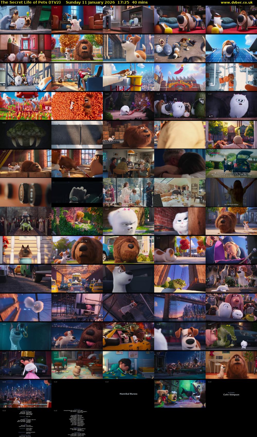 The Secret Life of Pets (ITV2) Sunday 11 January 2026 17:25 - 18:05