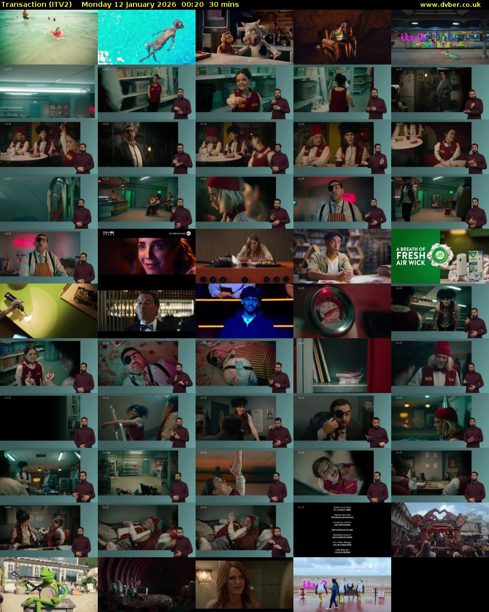 Transaction (ITV2) Monday 12 January 2026 00:20 - 00:50