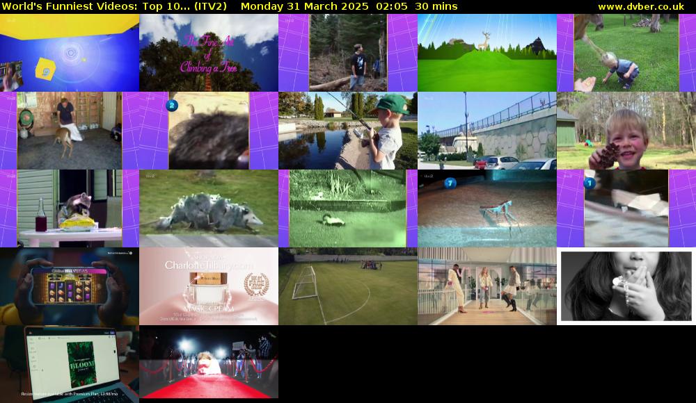 World's Funniest Videos: Top 10... (ITV2) Monday 31 March 2025 02:05 - 02:35