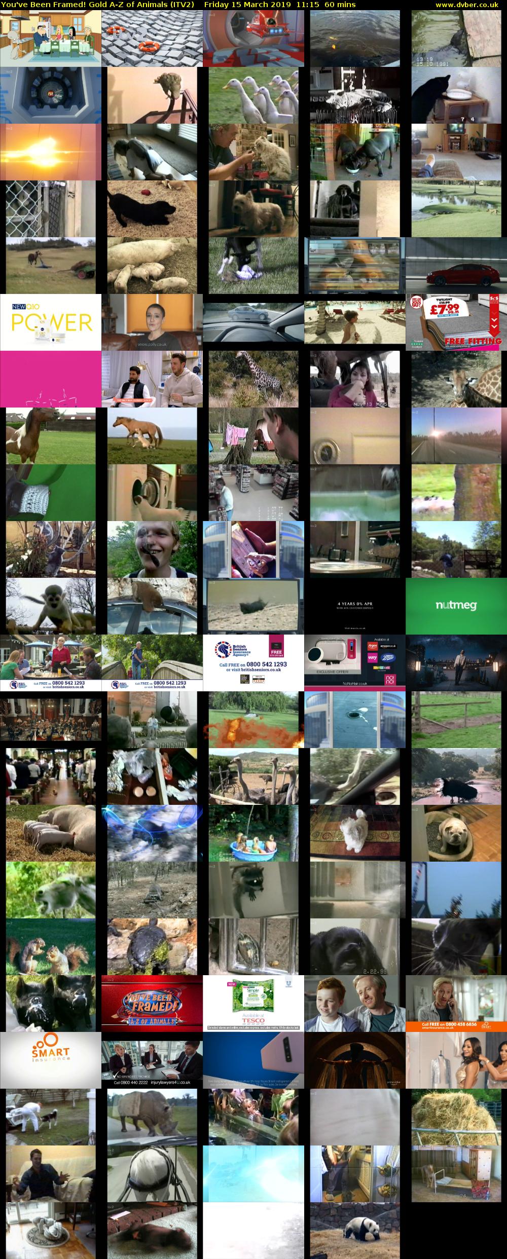 You've Been Framed! Gold A-Z of Animals (ITV2) Friday 15 March 2019 11:15 - 12:15