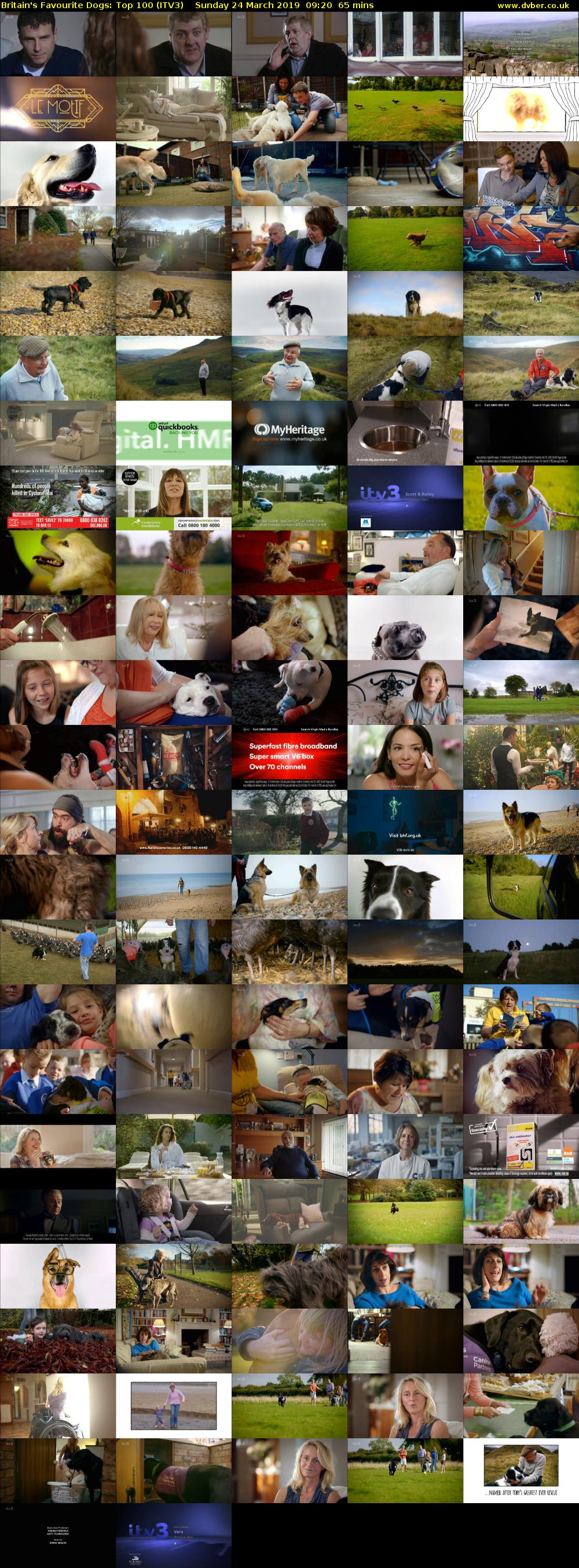 Britain's Favourite Dogs: Top 100 (ITV3) Sunday 24 March 2019 09:20 - 10:25