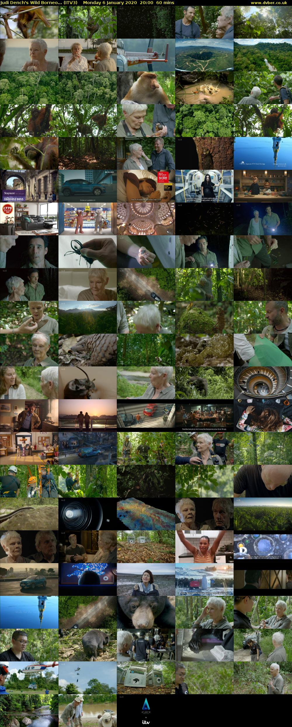 Judi Dench's Wild Borneo... (ITV3) Monday 6 January 2020 20:00 - 21:00