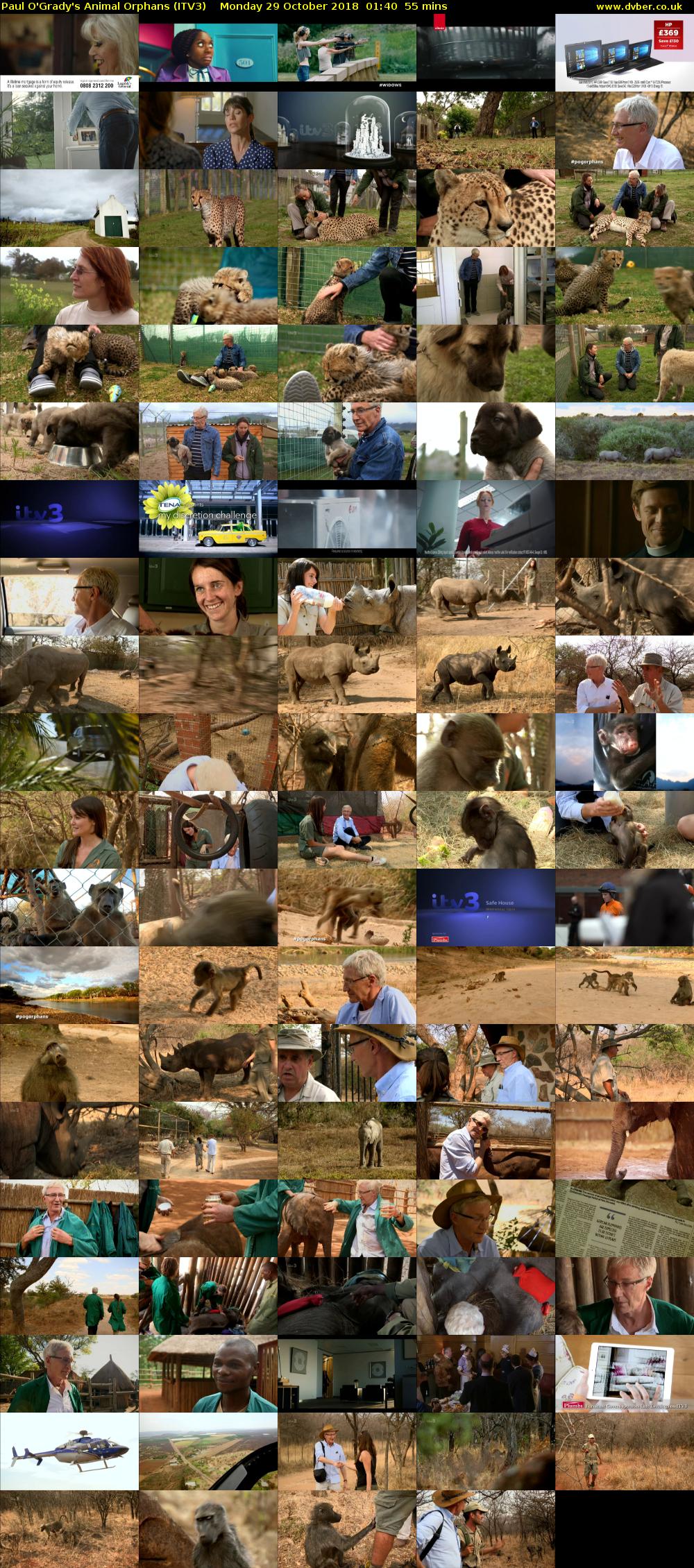 Paul O'Grady's Animal Orphans (ITV3) Monday 29 October 2018 01:40 - 02:35