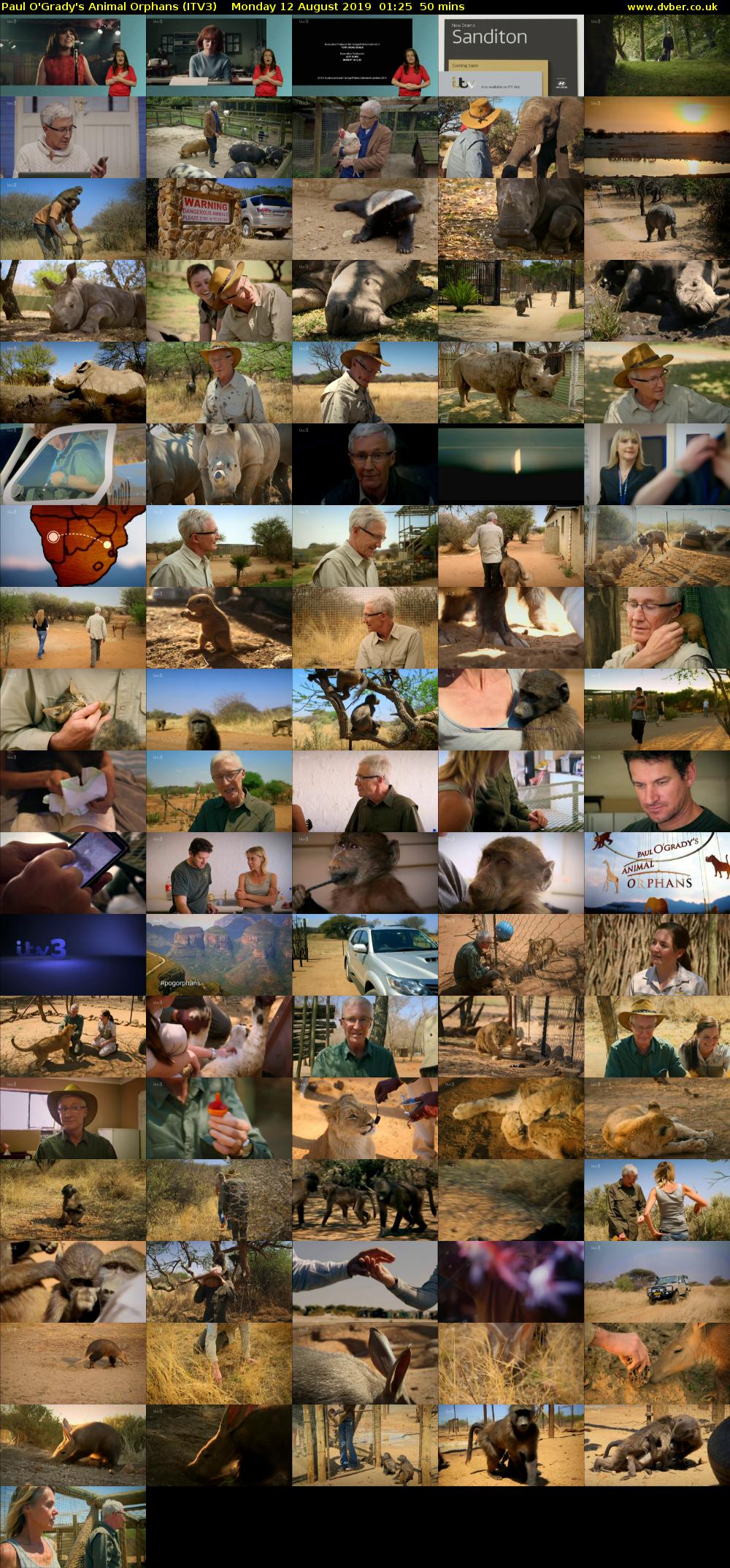 Paul O'Grady's Animal Orphans (ITV3) Monday 12 August 2019 01:25 - 02:15