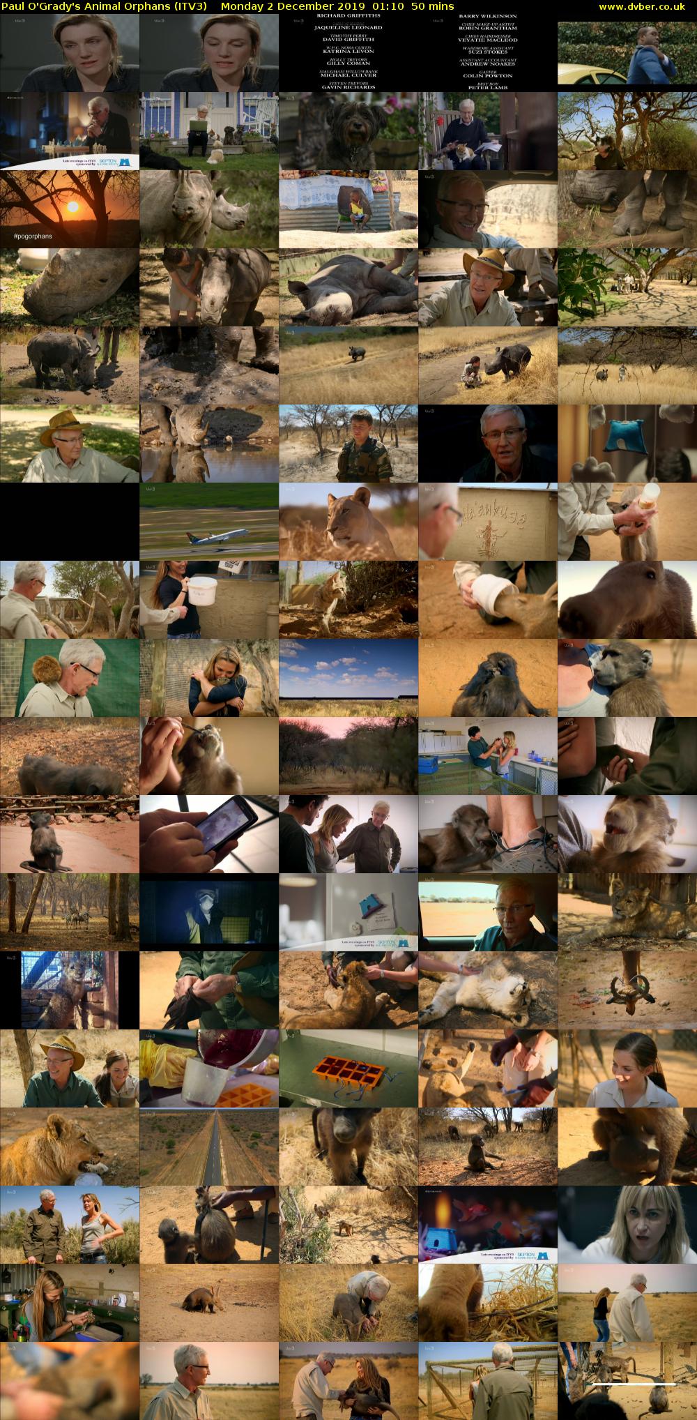 Paul O'Grady's Animal Orphans (ITV3) Monday 2 December 2019 01:10 - 02:00