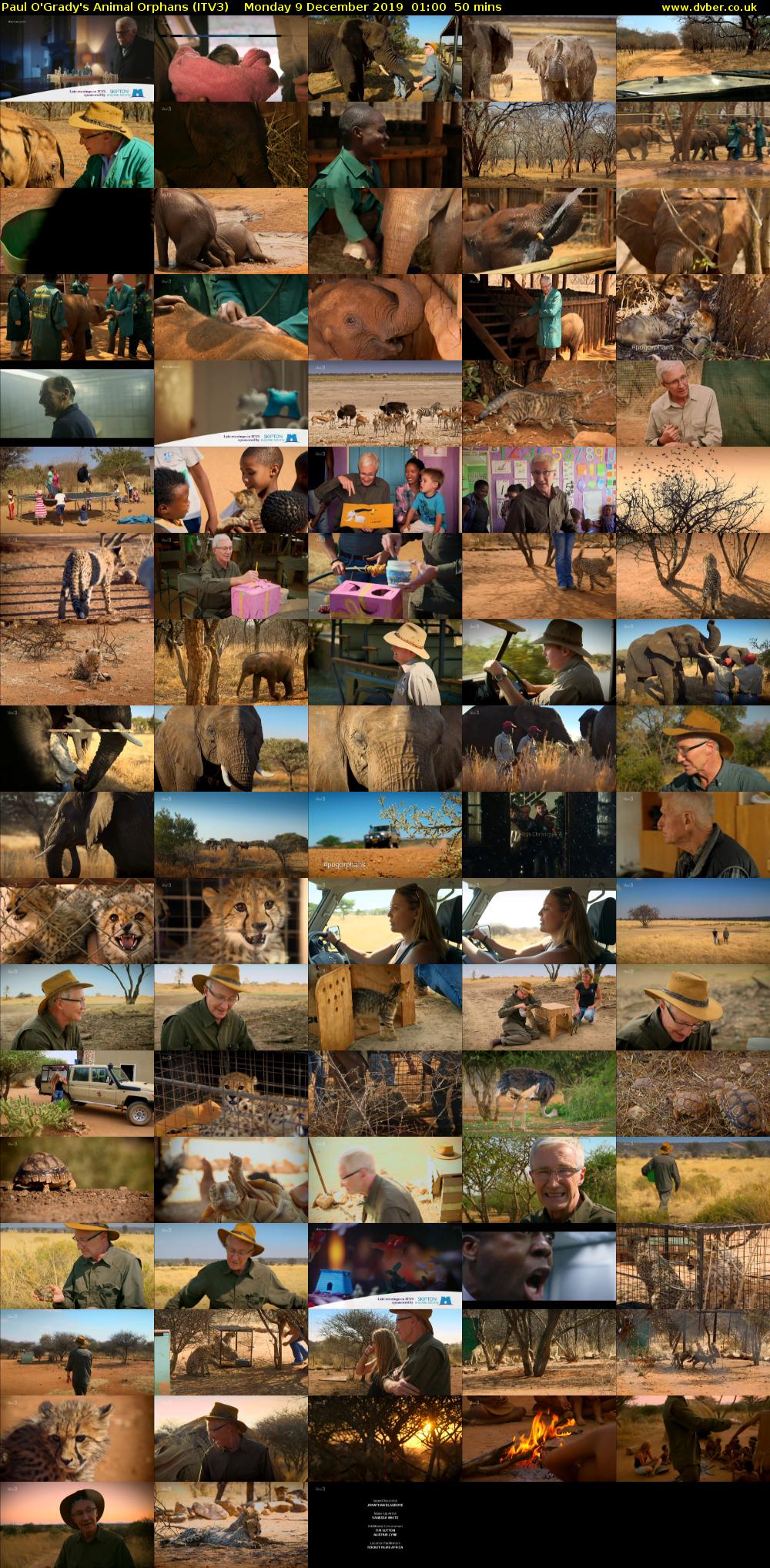 Paul O'Grady's Animal Orphans (ITV3) Monday 9 December 2019 01:00 - 01:50