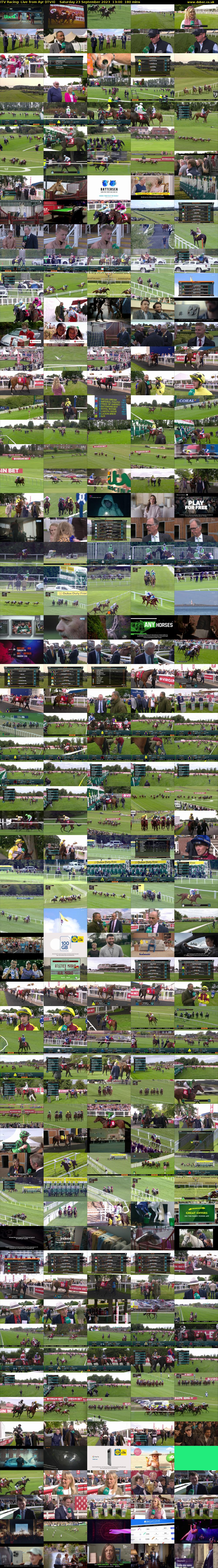 ITV Racing: Live from Ayr (ITV4) Saturday 23 September 2023 13:00 - 16:00
