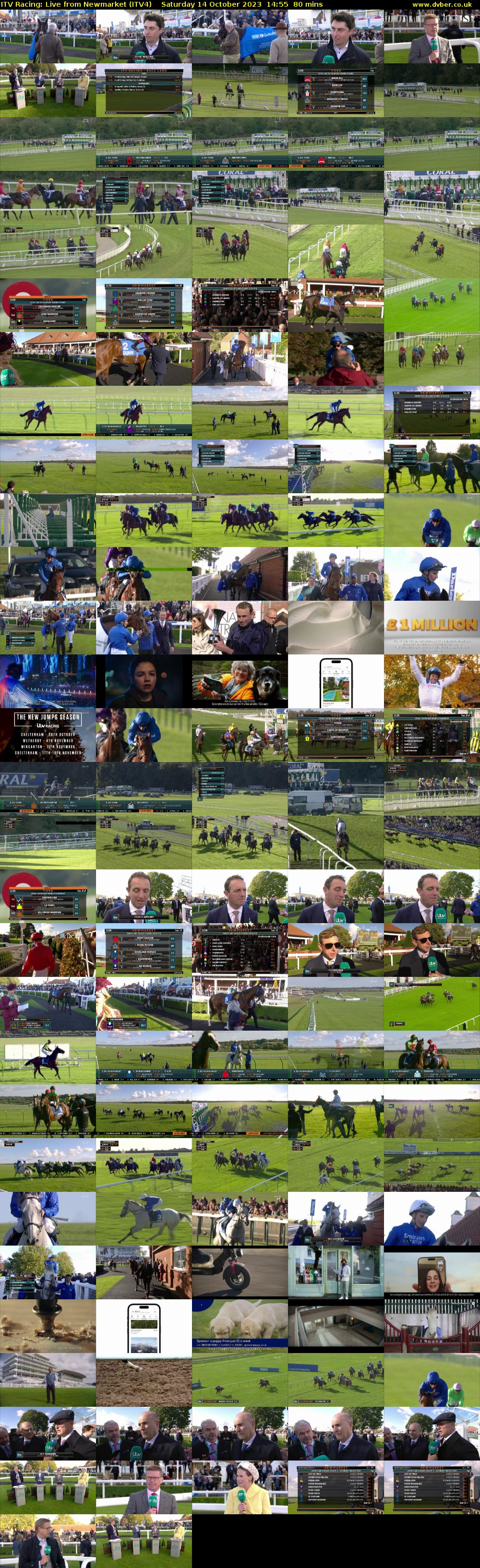 ITV Racing: Live from Newmarket (ITV4) Saturday 14 October 2023 14:55 - 16:15
